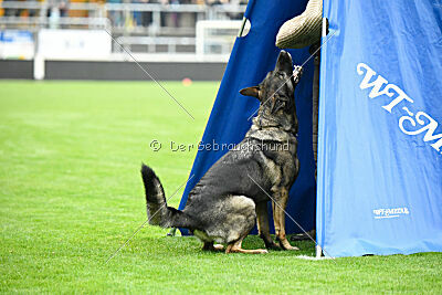 Tika van Arne`s Hoeve